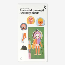 Anatomy puzzle